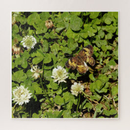 Schmetterling zwischen Blumen