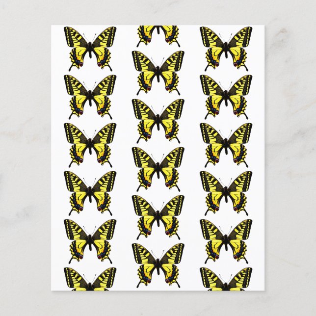 Schmetterlinge (Vorderseite)