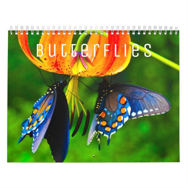 Schmetterlinge [1] Mauerkalender Kalender (Titelbild)