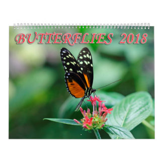 Schmetterlinge 2018 kalender