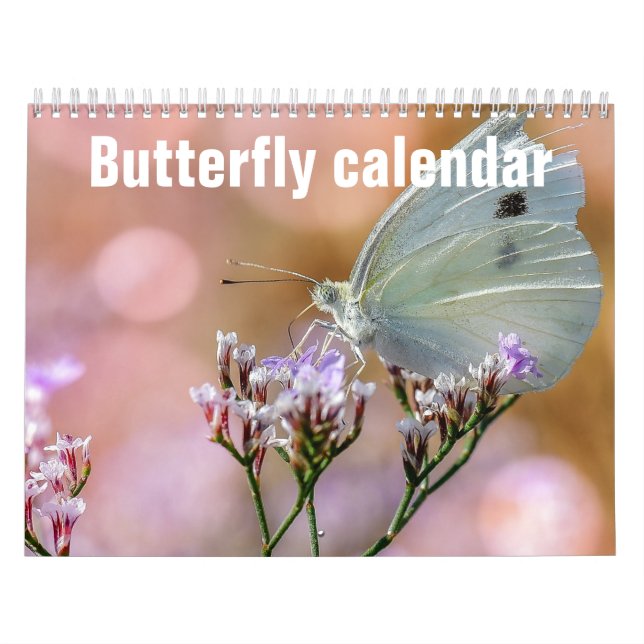 Schmetterlinge 2023 kalender (Titelbild)