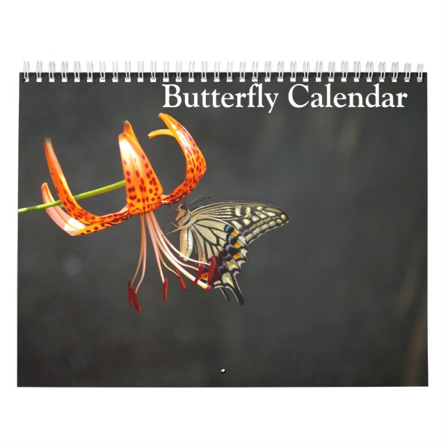 Schmetterlinge 2025 kalender (Titelbild)