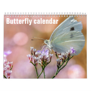 Schmetterlinge 2025 kalender