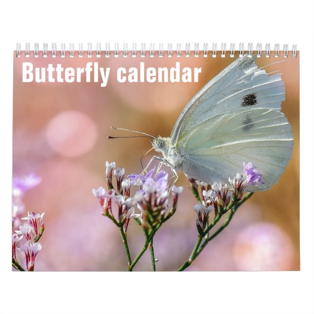 Schmetterlinge 2025 kalender (Titelbild)