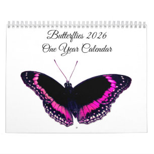 Schmetterlinge 2026 Ein-Jahres-Kalender Kalender
