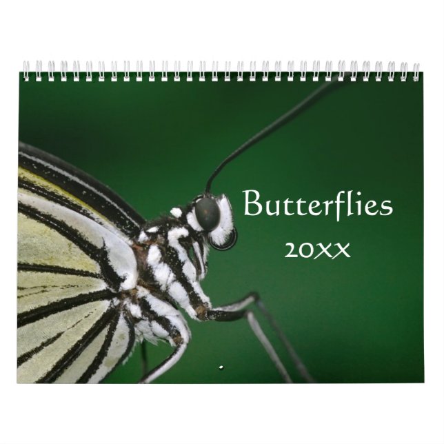 Schmetterlinge, anpassbarer Kalender (Titelbild)