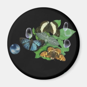 Schmetterlinge auf Blätter Magnet