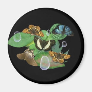 Schmetterlinge auf Blätter Magnet