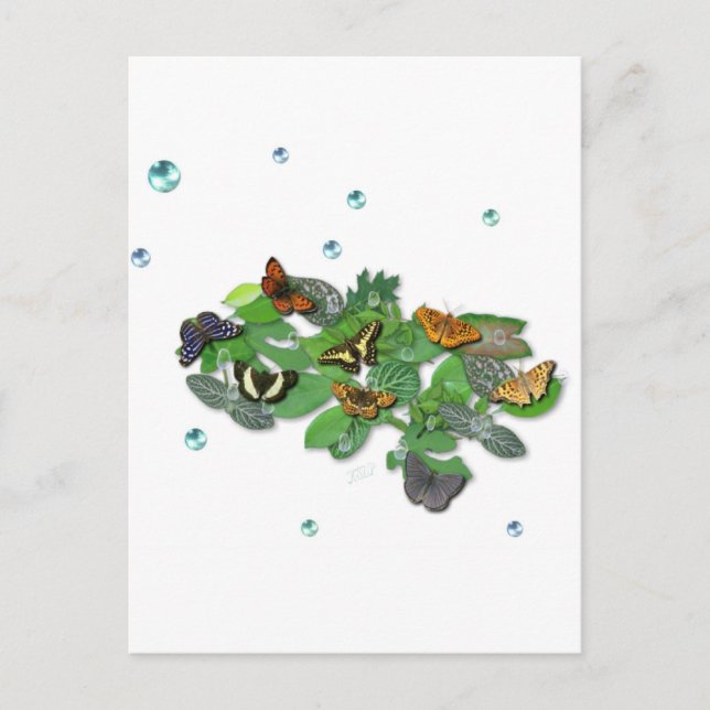 Schmetterlinge auf Blätter Postkarte (Vorderseite)