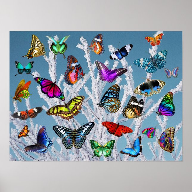 Schmetterlinge auf den Zweigen. Natur. Landschaft. Poster (Vorne)