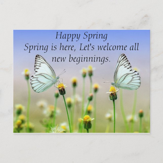 Schmetterlinge Blume Postkarte (Vorderseite)