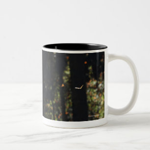 Schmetterlinge, die in Wald fliegen Zweifarbige Tasse