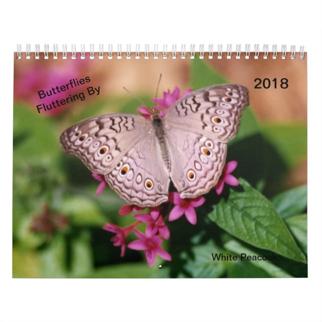 Schmetterlinge, die vorbei flattern kalender (Titelbild)