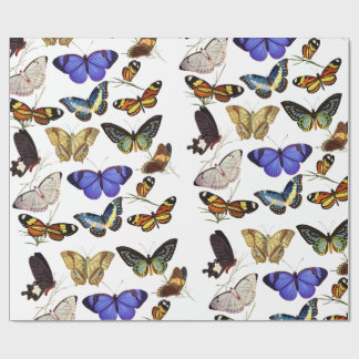 Schmetterlinge Geschenkpapier