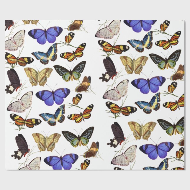 Schmetterlinge Geschenkpapier (Flach)