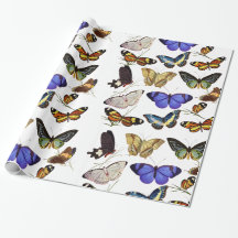 Schmetterlinge Geschenkpapier
