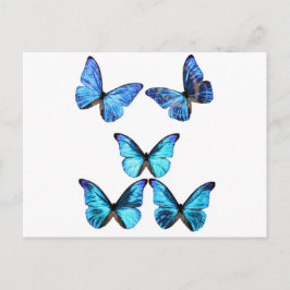 Schmetterlinge glühende Postkarte