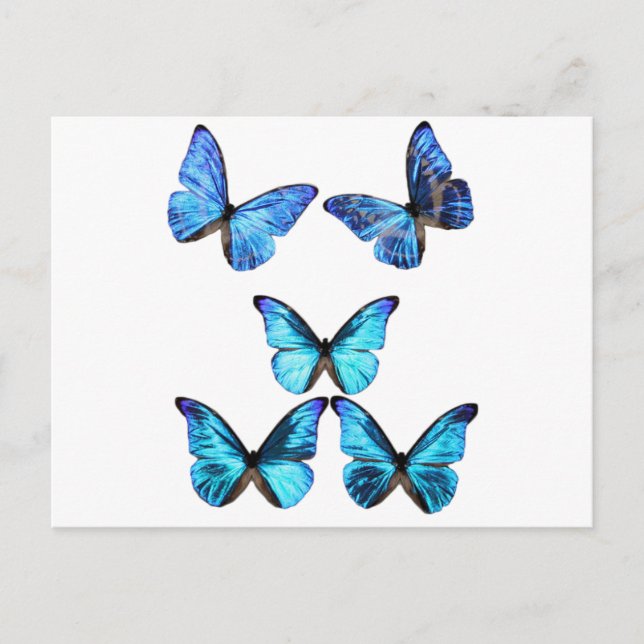Schmetterlinge glühende Postkarte (Vorderseite)
