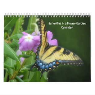 Schmetterlinge im Blumengarten-Kalender Kalender