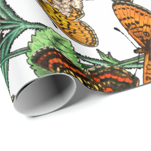 SCHMETTERLINGE IN NATURVERPACKUNGSPAPIER GESCHENKPAPIER