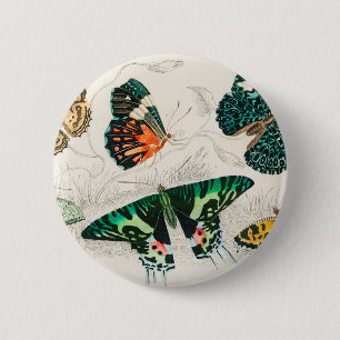 Schmetterlinge Insekten-Schläger Button