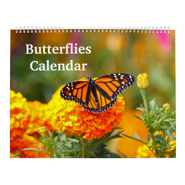 Schmetterlinge Kalender (Titelbild)