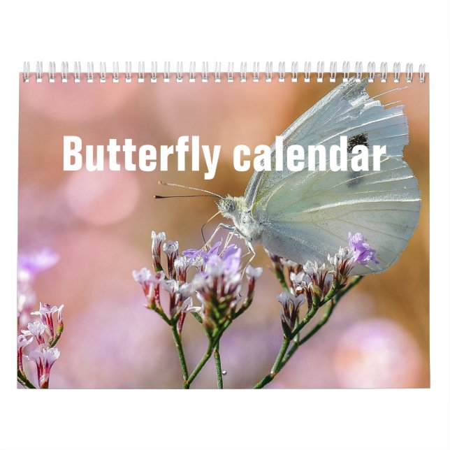 Schmetterlinge-Kalender 2025 Kalender (Titelbild)