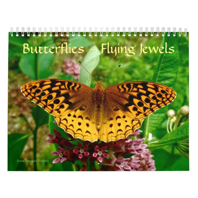 Schmetterlinge - Kalender fliegender Juwelen (Titelbild)