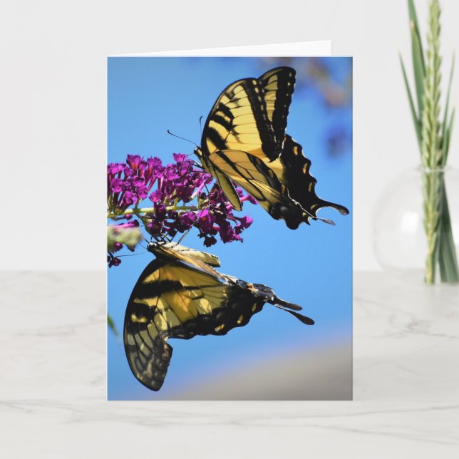 Schmetterlinge, Karte (Vorderseite)