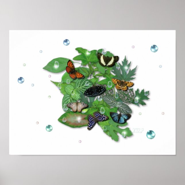 Schmetterlinge, mit wem, Regentropfen Perlen Poster (Vorne)