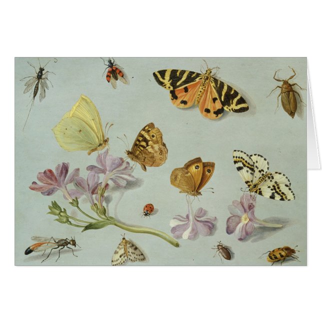 Schmetterlinge, Motten und andere Insekten (Vorderseite (Horizontal))
