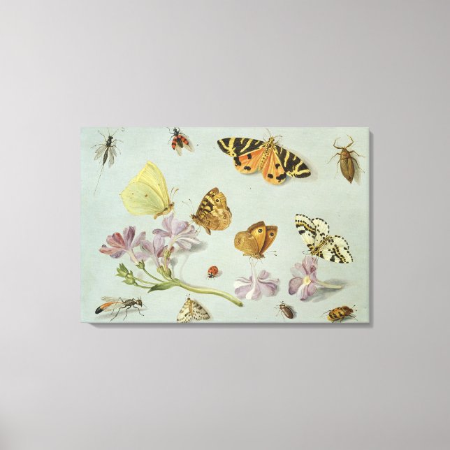 Schmetterlinge, Motten und andere Insekten Leinwanddruck (Vorderseite)