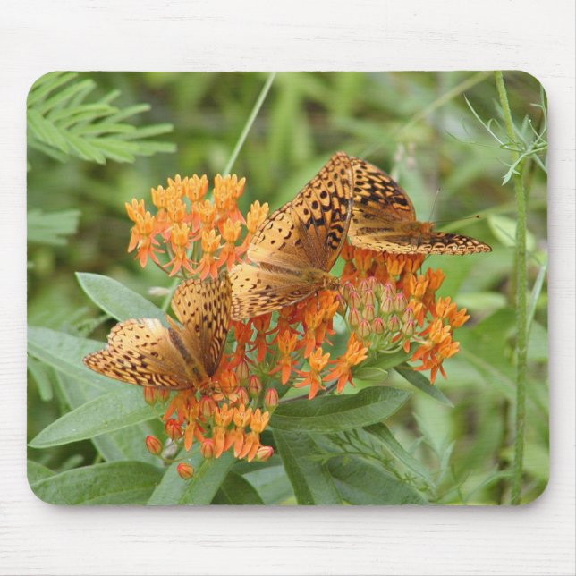 Schmetterlinge Mousepad (Vorne)