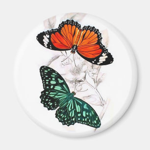Schmetterlinge - orange und grün magnet
