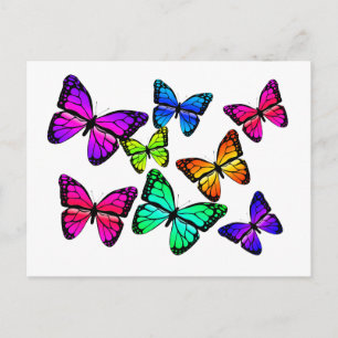 Schmetterlinge Postkarte