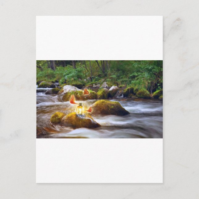 Schmetterlinge Postkarte (Vorderseite)
