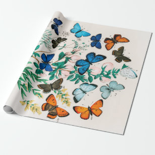 Schmetterlinge, Raupen von William Forsell Kirby Geschenkpapier