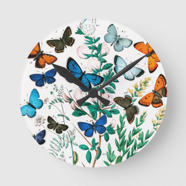 Schmetterlinge, Raupen von William Forsell Kirby Runde Wanduhr (Vorderseite)