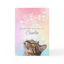Schmetterlinge Regenbogen Braun Getigerte Katze Ve