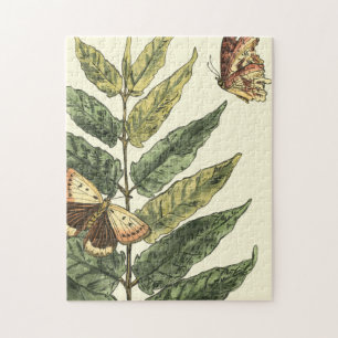 Schmetterlinge u. Blätter mit schwarzem Rahmen