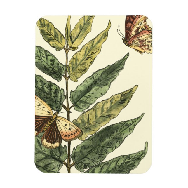 Schmetterlinge und Blätter mit schwarzem Rahmen Magnet (Vertikal)