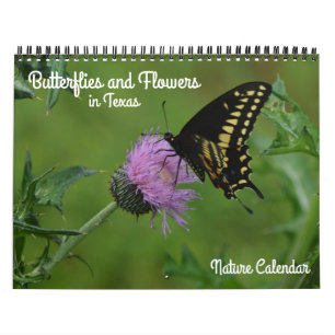 Schmetterlinge und Blume im Naturkalender von Texa Kalender