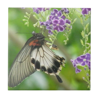 Schmetterlinge und Blumen-Fliese Fliese