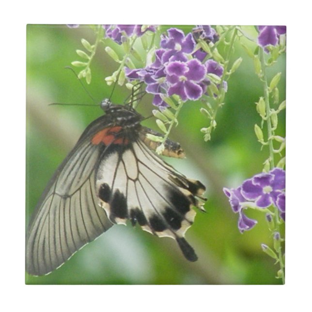 Schmetterlinge und Blumen-Fliese Fliese (Vorderseite)