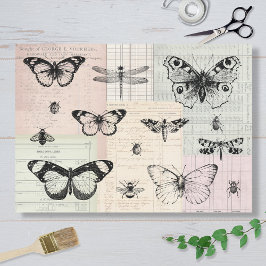 Schmetterlinge und Käfer Seidenpapier