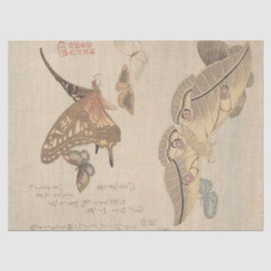 Schmetterlinge und Motten von Kubo Shunman Seidenpapier