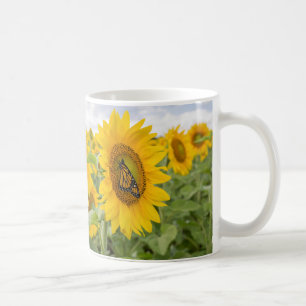 Schmetterlinge und Sonnenblumencocktail-Cup Kaffeetasse