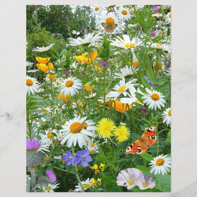 Schmetterlinge und Wildblumen (Vorderseite)