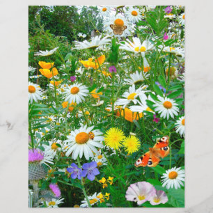 Schmetterlinge und Wildblumen