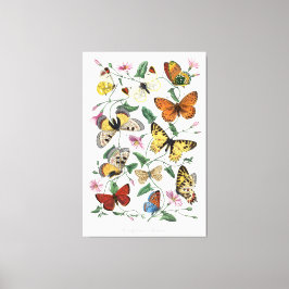 Schmetterlinge Wandkunst Leinwand Vintage Stil Nat